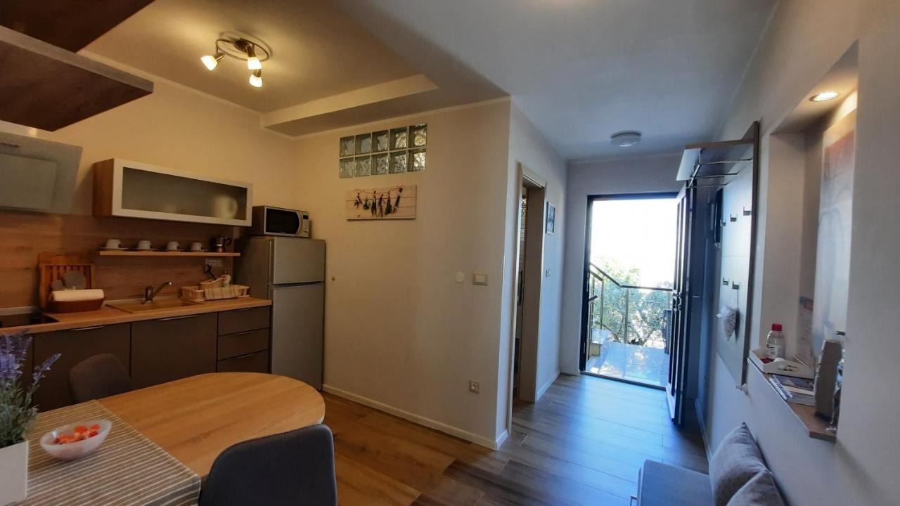 Apartments Alea Ρόβινι Εξωτερικό φωτογραφία