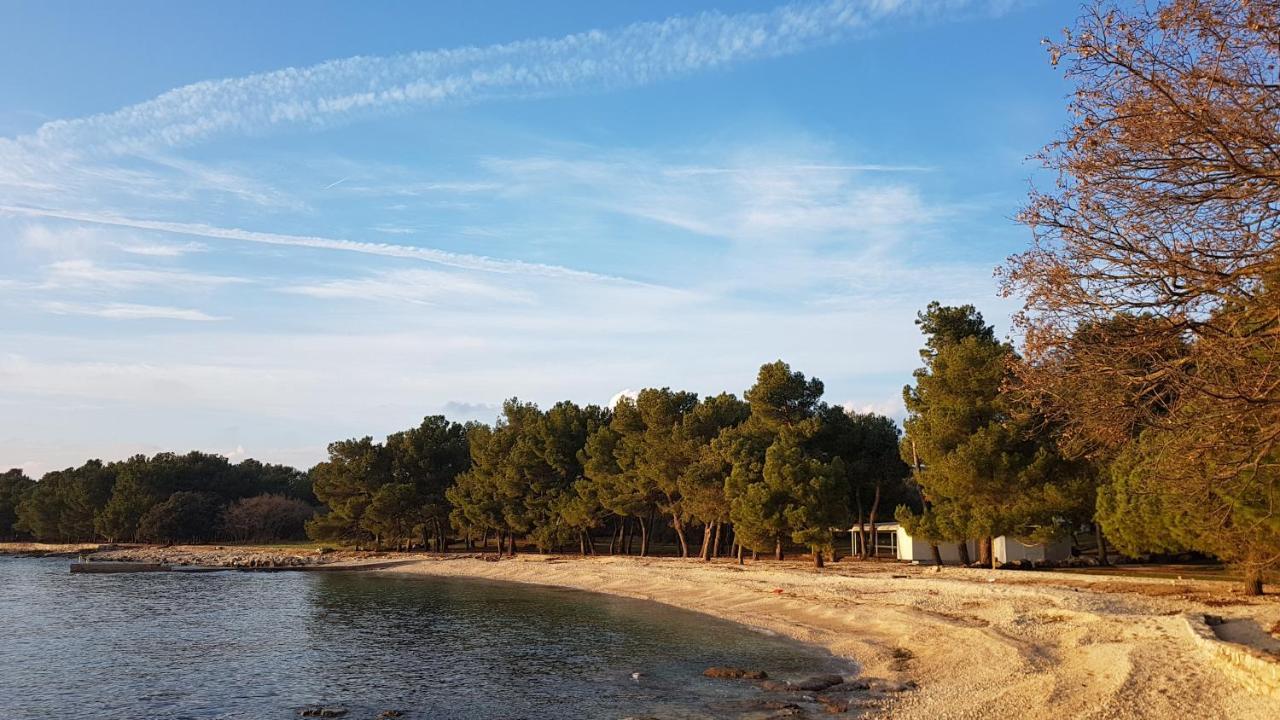 Apartments Alea Ρόβινι Εξωτερικό φωτογραφία